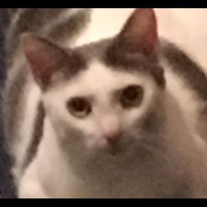 Meet your Posher, Kristin